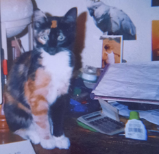 Maya Photo